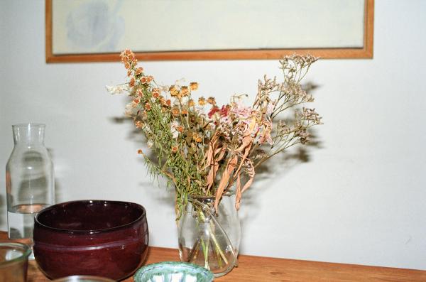 A Collection of Flowers